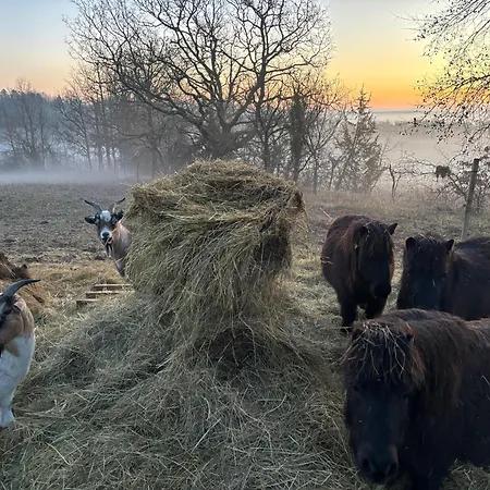 Atypique 6-8 Personnes Avec Piscine