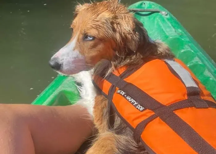 Atypique 6-8 Personnes Avec Piscine Feriehus *