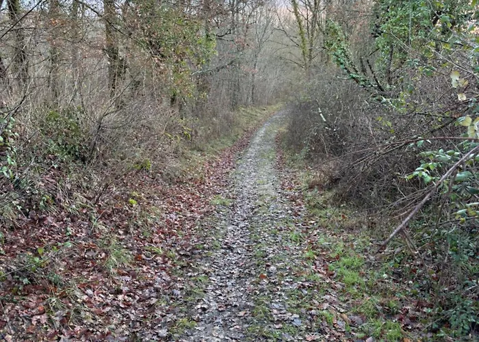 Atypique 6-8 Personnes Avec Piscine Feriehus Montdoumerc